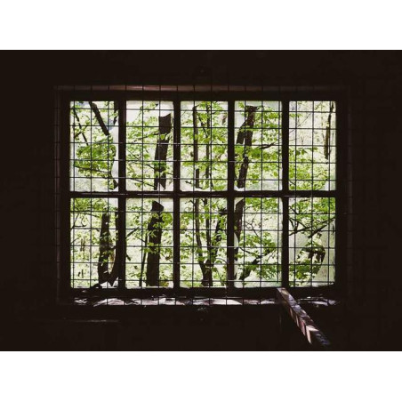 Enormous Copper Watch fr-FR